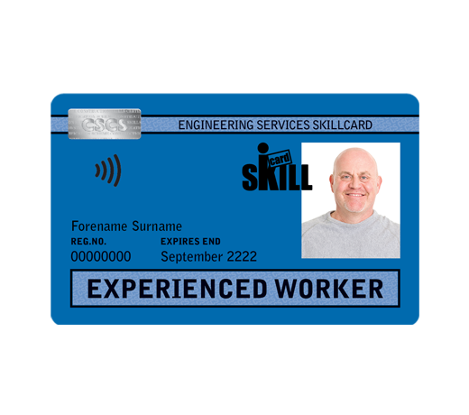 Blue – Experienced Worker