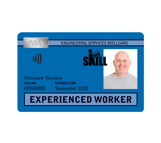 Blue – Experienced Worker